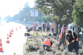 Isparta Park ve Bahçeler Çalışanları