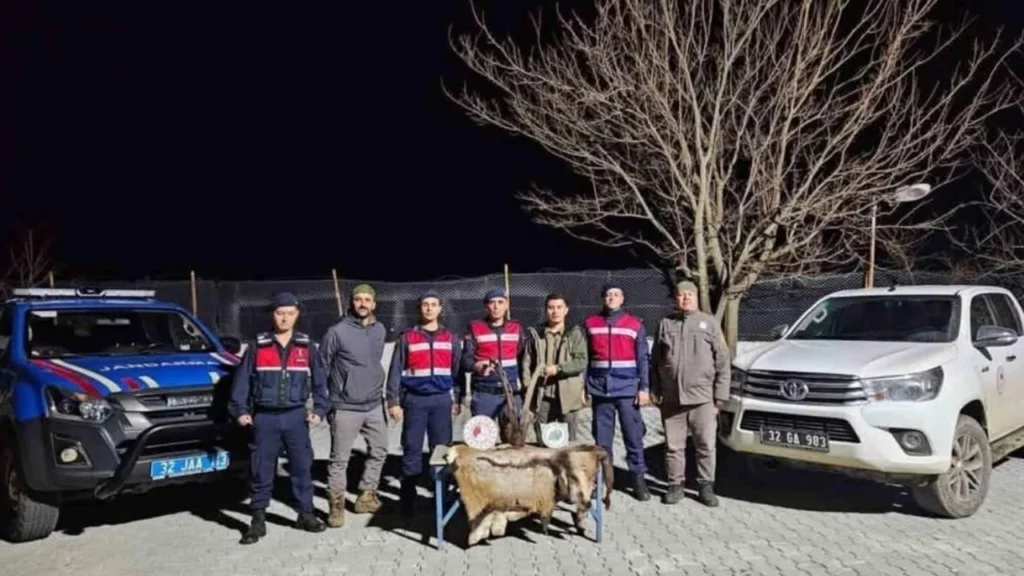 Kaçak avcılara ceza