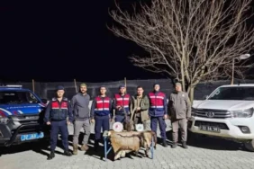 Kaçak avcılara ceza