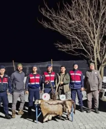 Kaçak avcılara ceza