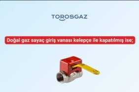 Screenshot_20250219_110939