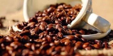 20 binden fazla kişi incelendi: Tükettiğiniz kahve türü kalp krizi riskinizi etkiliyor