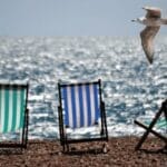 Bu plajda Mayo ile yüzmek yasaklandı! Denize çıplak girecekler