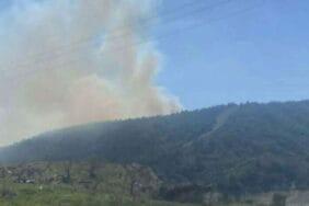 Çanakkale'de orman yangını