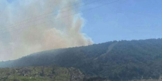 Çanakkale'de orman yangını