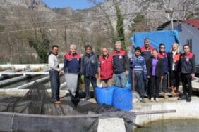 Isparta'da 74 çiftlikte canlı alabalık üretiliyor