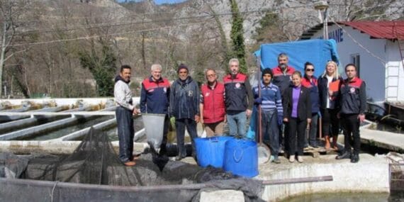 Isparta'da 74 çiftlikte canlı alabalık üretiliyor