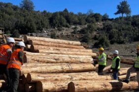 Isparta'da Sütçüler Karadağ Orman Emvali Satış Deposu’nda inceleme