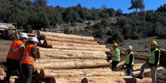 Isparta'da Sütçüler Karadağ Orman Emvali Satış Deposu’nda inceleme