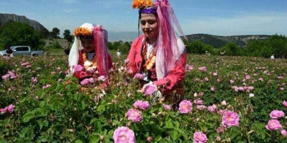 Isparta Uluslararası Gül Festivali 2025: Güller diyarında büyüleyici bir deneyim