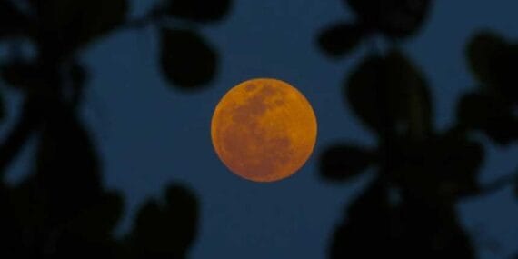 Kanlı Kurt Ayı başlıyor! İşte görüleceği saat