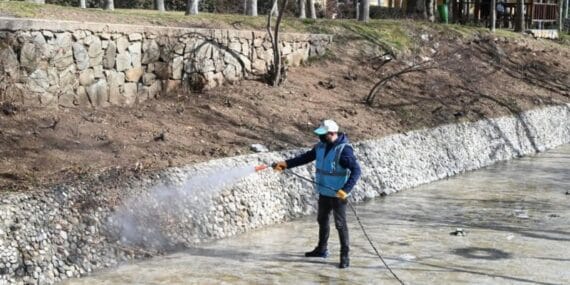 Isparta Belediyesinden larva mücadelesiyle yaz hazırlığı
