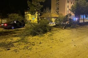 Isparta'da otomobil refüje çarparak 3 ağacı devirdi: 1 yaralı