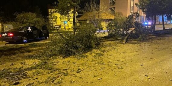 Isparta'da otomobil refüje çarparak 3 ağacı devirdi: 1 yaralı