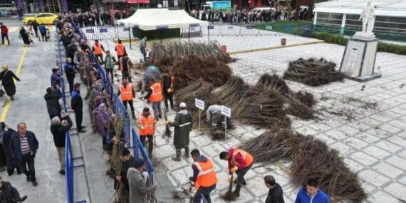 Isparta Belediyesi fidan dağıtımına devam ediyor