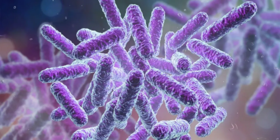 Mikroskobik mucize: Oregon'da elektrik ileten bakteri keşfedildi