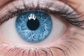 Görme kaybı tarihe karışıyor: Yeni tedavi, retina hasarını onarıyor