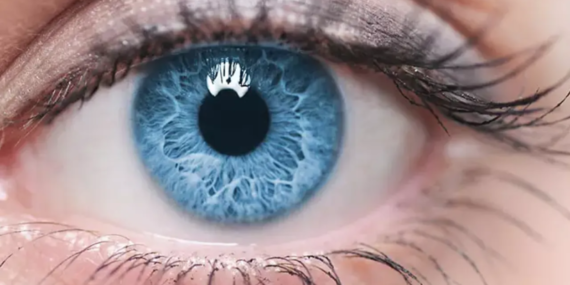 Görme kaybı tarihe karışıyor: Yeni tedavi, retina hasarını onarıyor