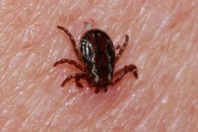 KKKA paniği! Ölenlerin sayısı 2'ye yükseldi