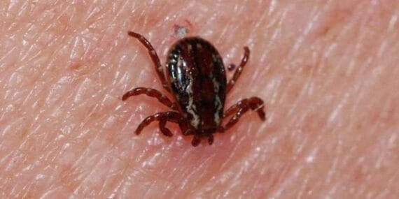 KKKA paniği! Ölenlerin sayısı 2'ye yükseldi