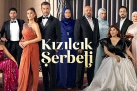 Kızılcık Şerbeti'nde Pembe'den sonra bir ayrılık daha!