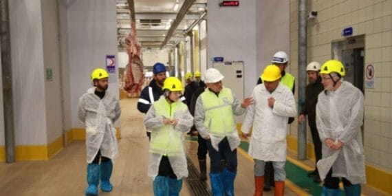 TSE’den Kocaeli Büyükşehir mezbahasına tam not