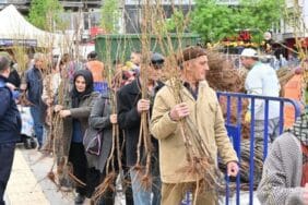 Isparta Belediyesi ücretsiz fidan dağıtımı yapacak