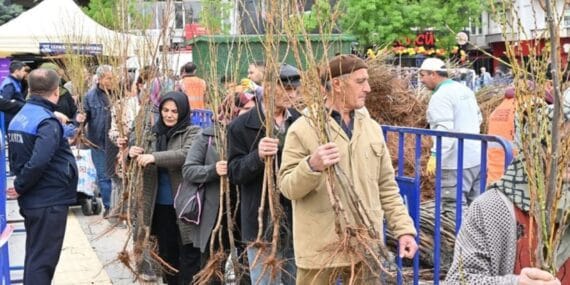 Isparta Belediyesi ücretsiz fidan dağıtımı yapacak