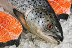 Doğu Karadeniz somon ihracatında yeni rekor: 35,8 milyon dolar