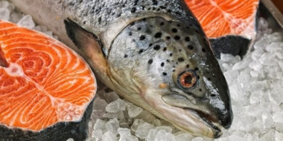 Doğu Karadeniz somon ihracatında yeni rekor: 35,8 milyon dolar