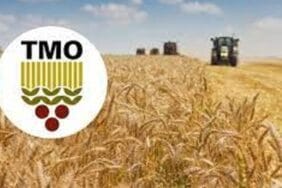 Haşhaş kapsülü ve tohumu ticaretinde yetki artık TMO’da