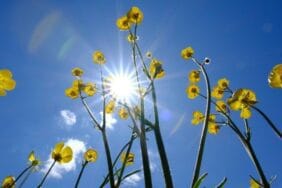 Yeni haftada hava açıyor: Yağışlar yurdu terk ediyor