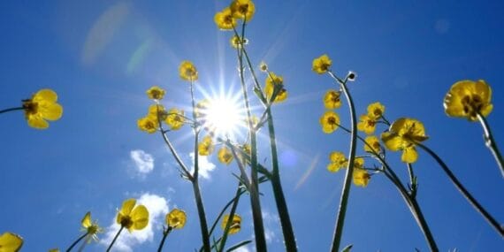 Yeni haftada hava açıyor: Yağışlar yurdu terk ediyor