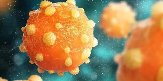 Uçuk virüsü Alzheimer’la bağlantılı olabilir