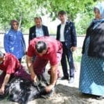 Evlere giderek tek tek kurbanları kestiler