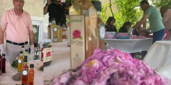 Doğada ne varsa sirke yapıyorlar