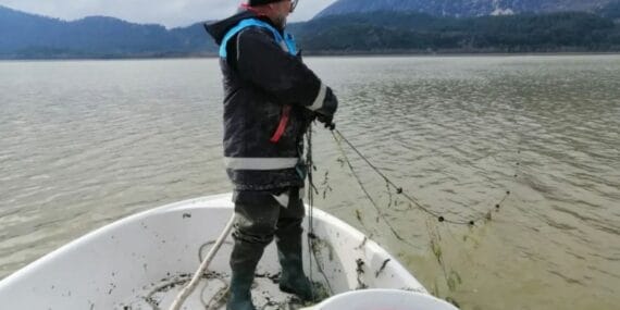 İç sularda av yasağı 16 Haziran 2025’te sona eriyor