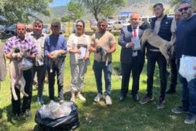 Isparta’da kurt sorununa çoban köpeği çözümü