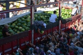 26 ton karpuzu bedava dağıttı! 45 dakikada bitti