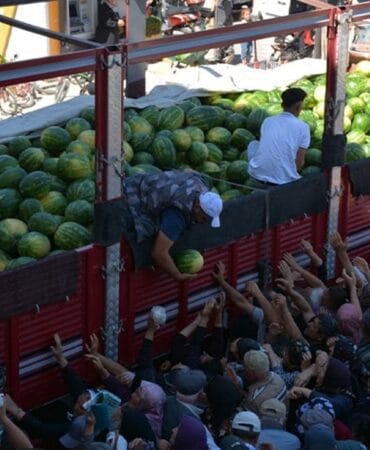 26 ton karpuzu bedava dağıttı! 45 dakikada bitti
