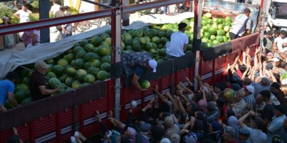 26 ton karpuzu bedava dağıttı! 45 dakikada bitti