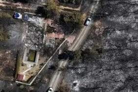 Tadilat yaparken ormanı yaktılar