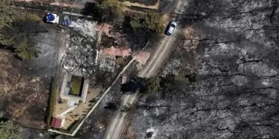 Tadilat yaparken ormanı yaktılar