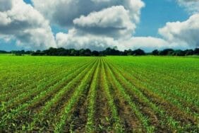 Tarım ve Kırsal Kalkınma hibeleriyle 70,3 milyon euroluk yatırım gerçekleştirildi