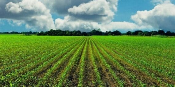 Tarım ve Kırsal Kalkınma hibeleriyle 70,3 milyon euroluk yatırım gerçekleştirildi