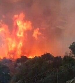Gazipaşa'daki orman yangınında gözetleme kulesindeki personelin zor anları kamerada
