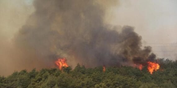 Yetkililerden Kritik Uyarı; Anız Yangınlarına Dikkat!