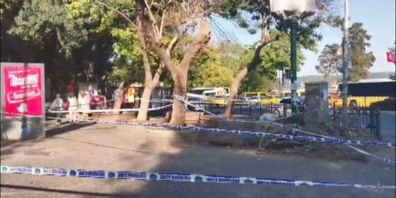 Kaldırımda yürüyen yayaların üzerine ağaç devrildi! 3 yaralı