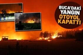 İzmir'de yangınlarla mücadele devam ediyor! Alevler yerleşim yerine ilerledi