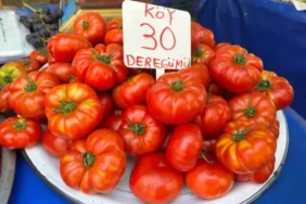 Üretici Pazarındaki Fiyatlar Semt Pazarlarıyla Aynı!